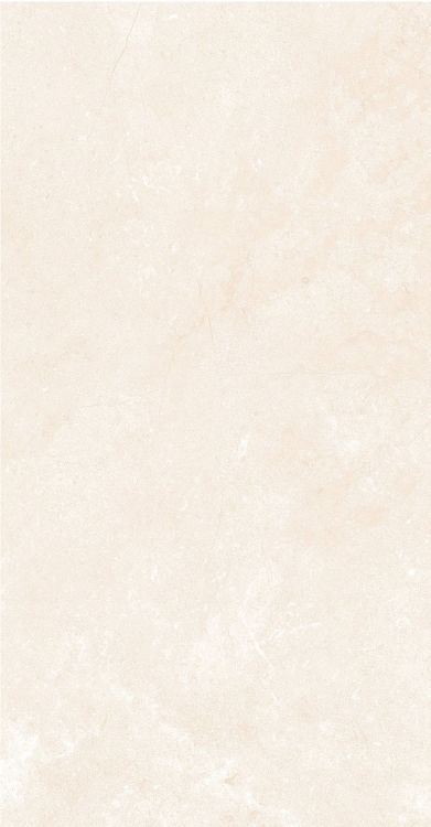 OL Marfil Matte 12 x 24